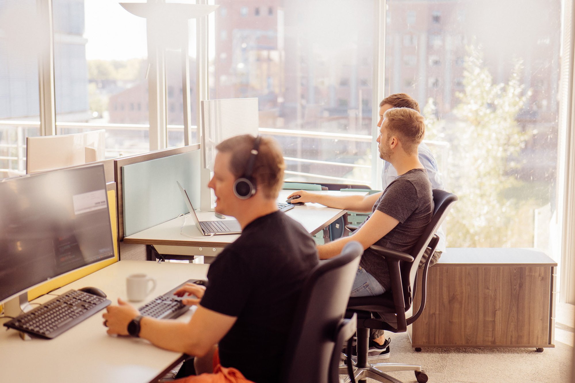 softwareentwicklung-dienstleister