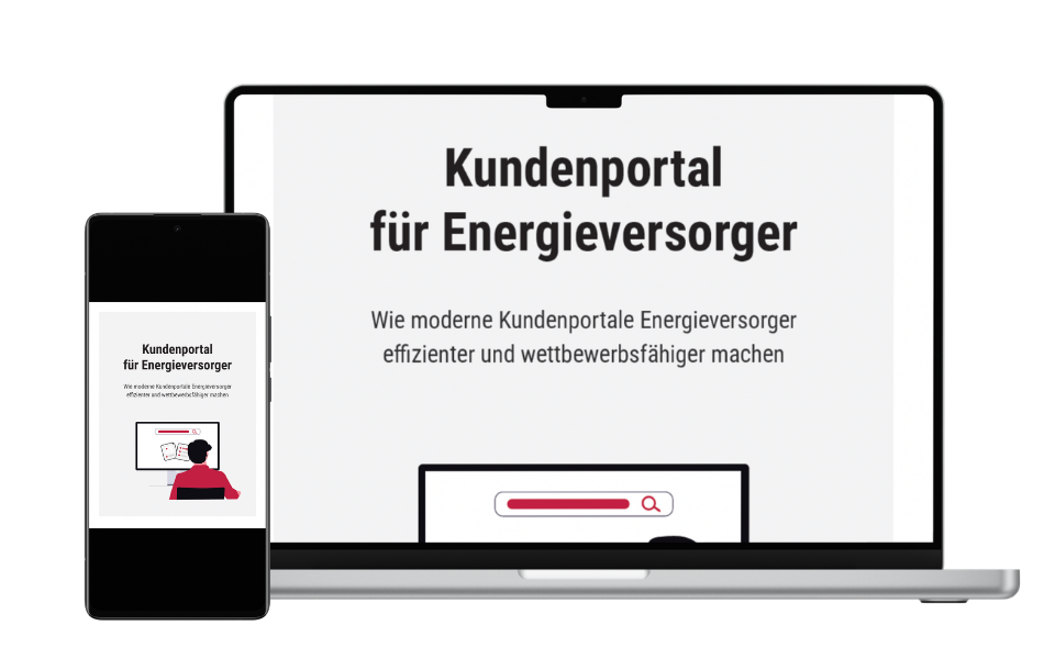 Kundenportal für Energieversorger Whitepaper