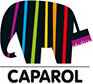 Caparol digital approval workflows